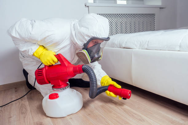 Best Residential Pest Control  in Patton Village, TX